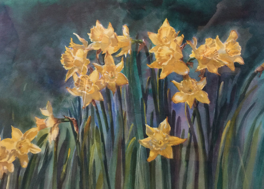 Evening Daffodils