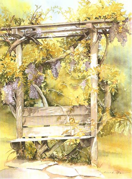Wisteria - Blank Cards (Pack of 6)