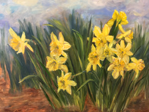 Daffodil Patch