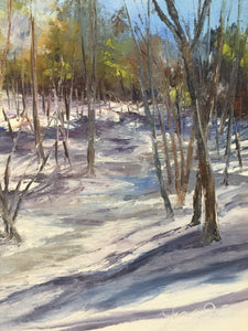 Artist's Backyard - Winter